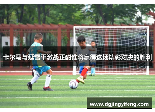 卡尔马与延雪平激战正酣谁将赢得这场精彩对决的胜利