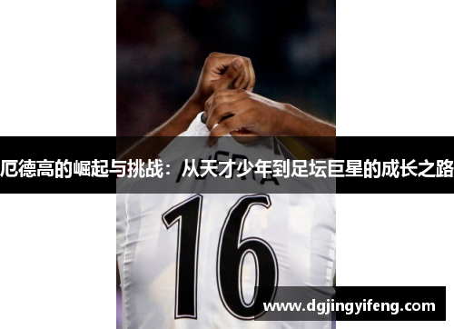 厄德高的崛起与挑战：从天才少年到足坛巨星的成长之路