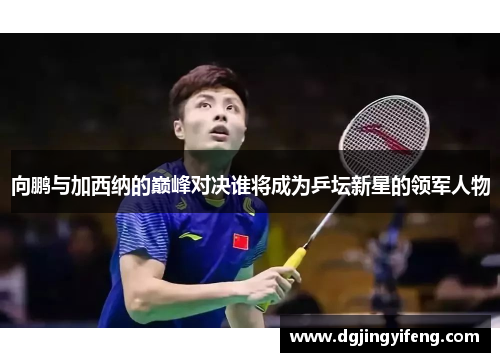 向鹏与加西纳的巅峰对决谁将成为乒坛新星的领军人物