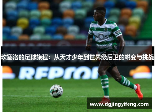 坎塞洛的足球旅程：从天才少年到世界级后卫的蜕变与挑战