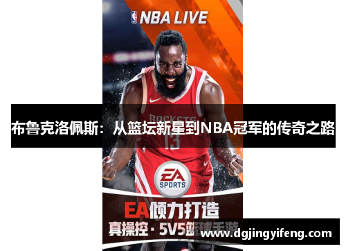 布鲁克洛佩斯：从篮坛新星到NBA冠军的传奇之路
