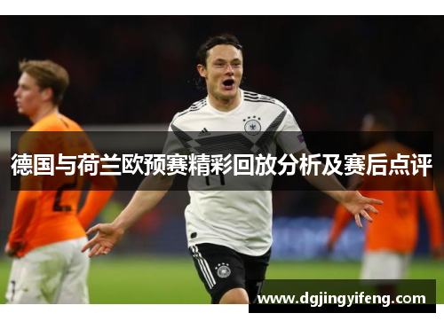 德国与荷兰欧预赛精彩回放分析及赛后点评